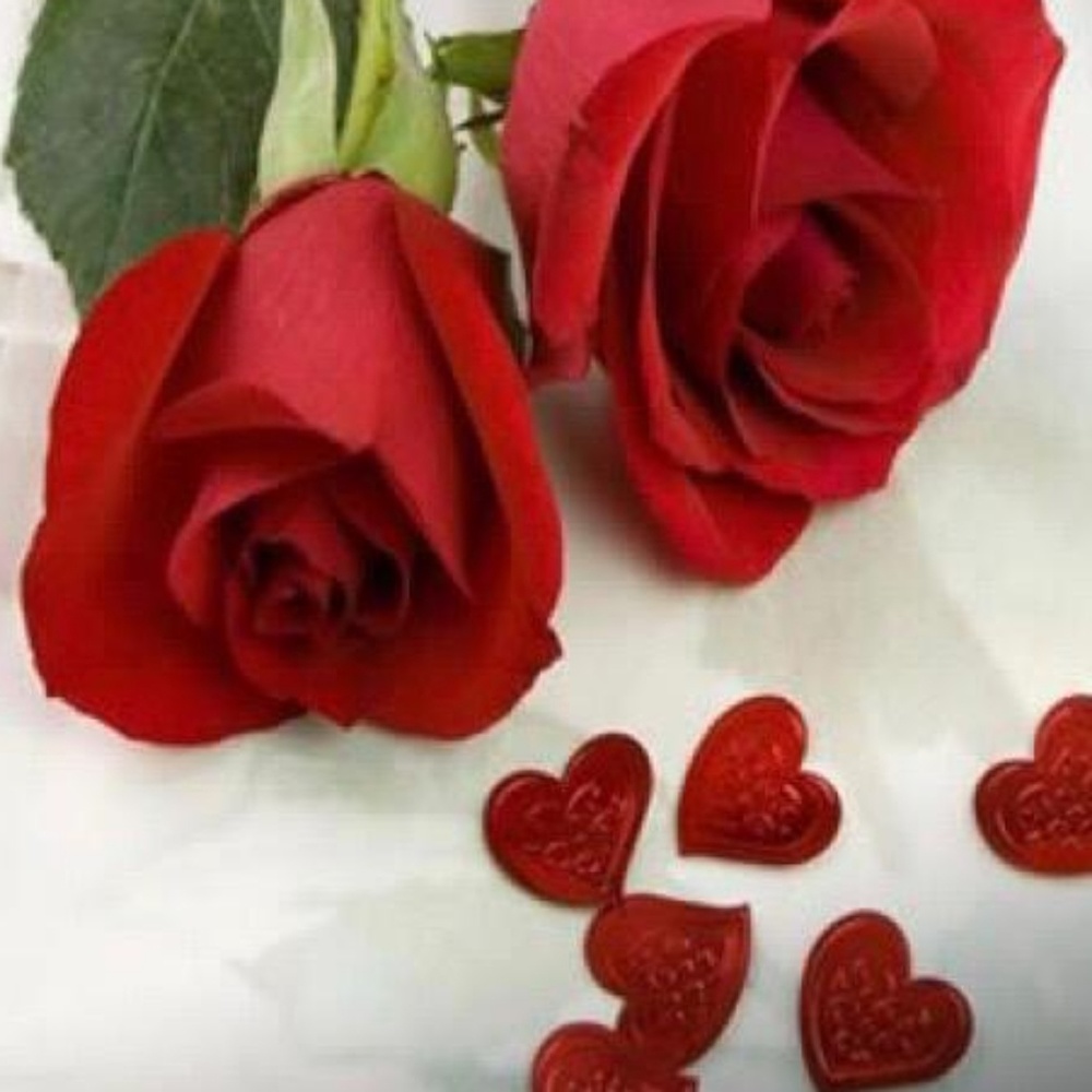 Meet your Posher, Isisnachelly